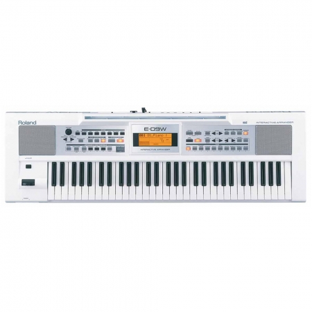 Đàn Organ Roland E-09W