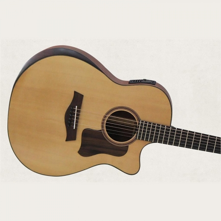 Đàn Guitar Acoustic Taylor 550-C Gỗ Còng