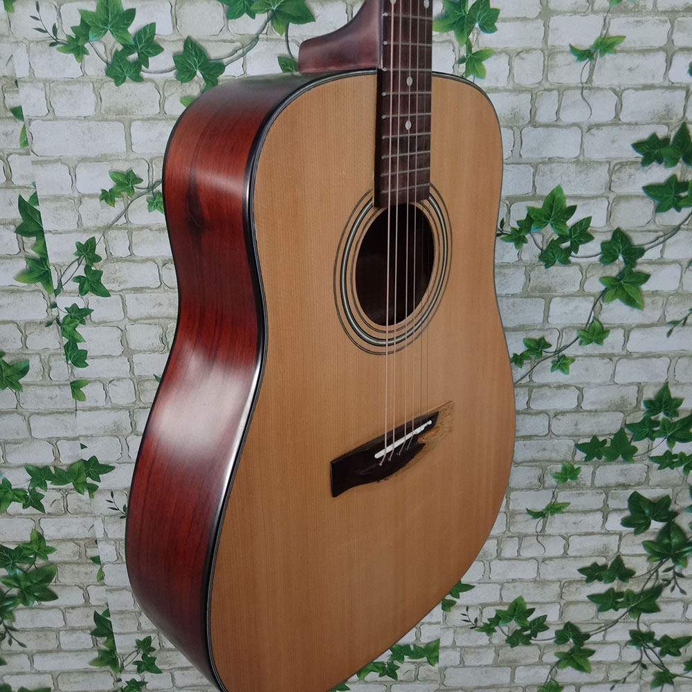 Guitar Acoustic Linas L100