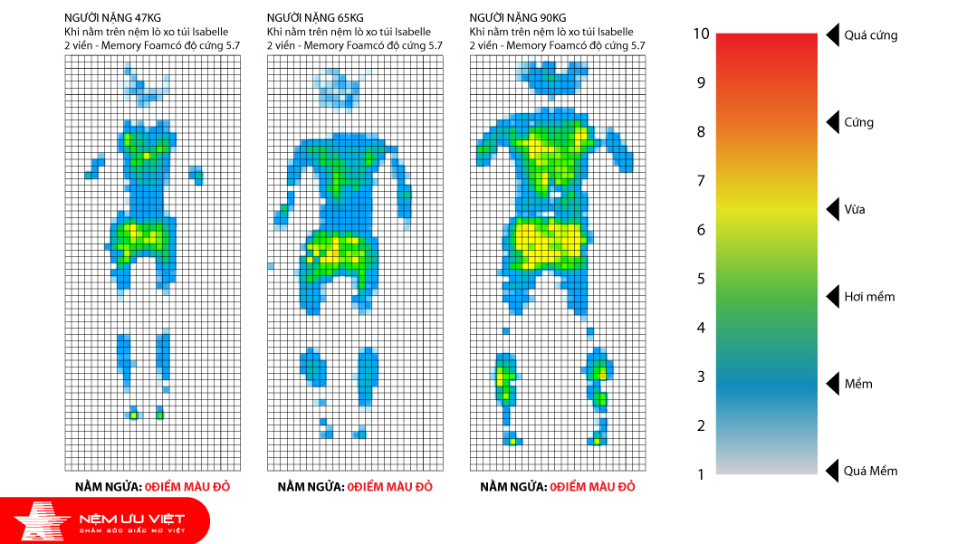 Nệm lò xo túi Isabelle 7 vùng - Pillow top MEMORY FOAM 