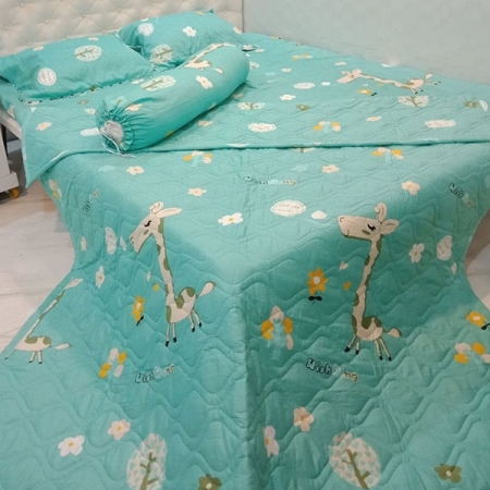 Drap cotton Hàn Quốc DHQ06